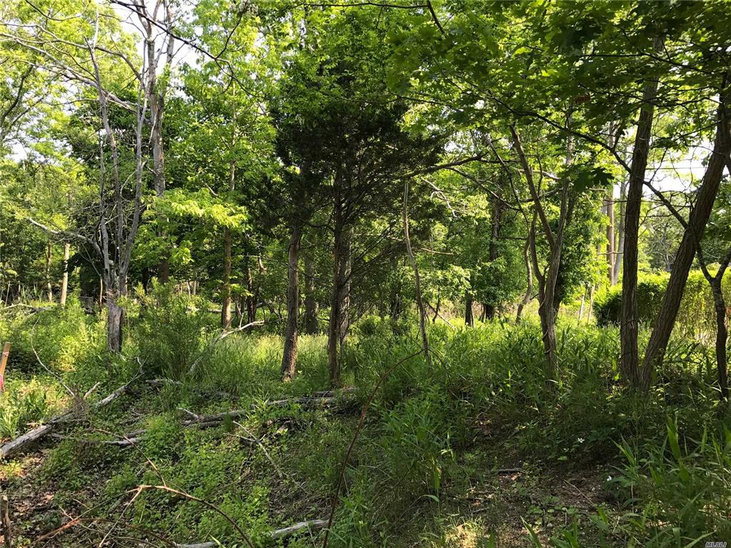 2300 Camp Mineola Rd Mattituck Mattituck NY 11952