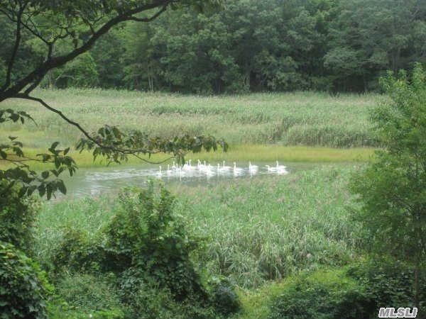 15 Old Field Rd Setauket Setauket NY 11733