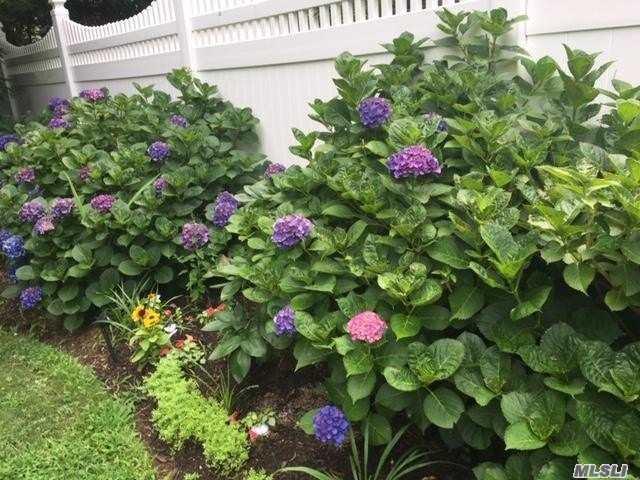 60 Gildare Dr E. Northport E. Northport NY 11731