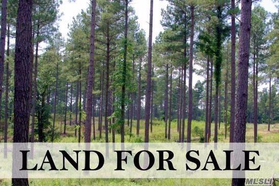 V/L Woodland Rd Manorville Manorville NY 11949