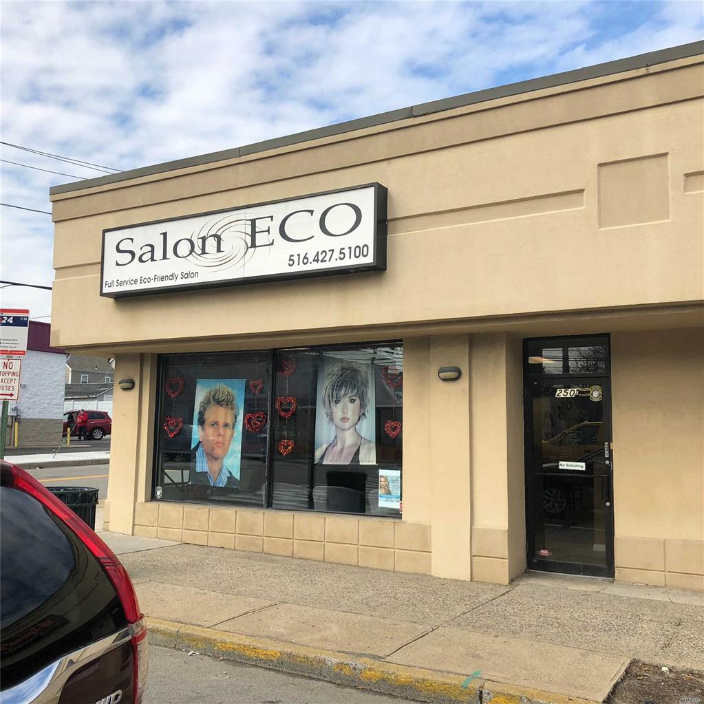 234 Jericho (Plaza) Tpke Mineola Mineola NY 11501