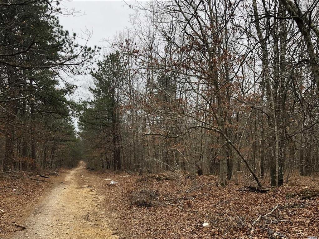 V/L Woodland Rd Manorville Manorville NY 11949